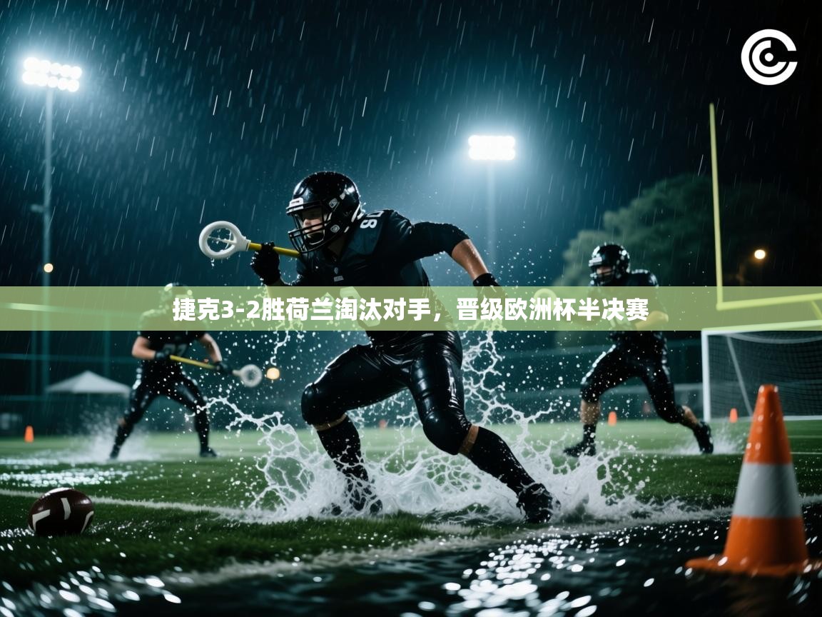 捷克3-2胜荷兰淘汰对手,晋级欧洲杯半决赛 第2张