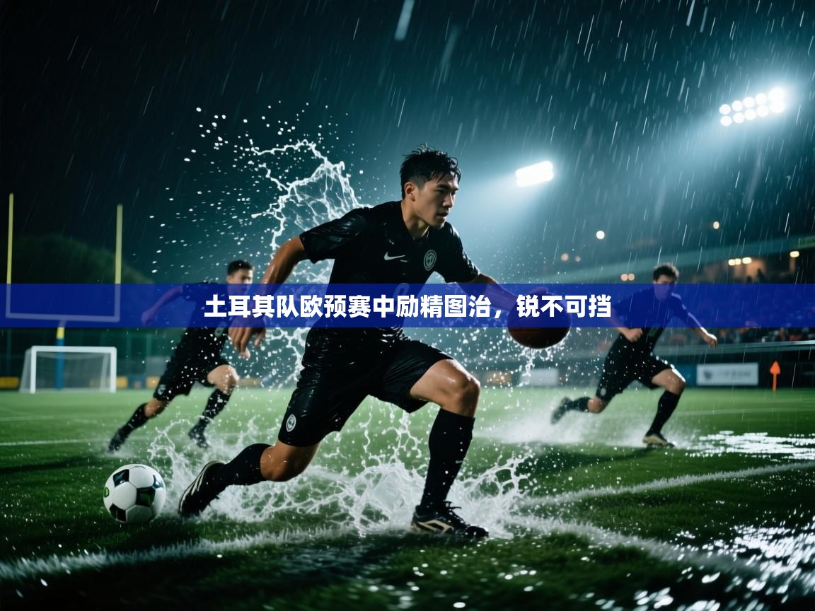 土耳其队欧预赛中励精图治，锐不可挡  第1张