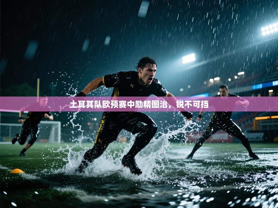 土耳其队欧预赛中励精图治，锐不可挡  第2张