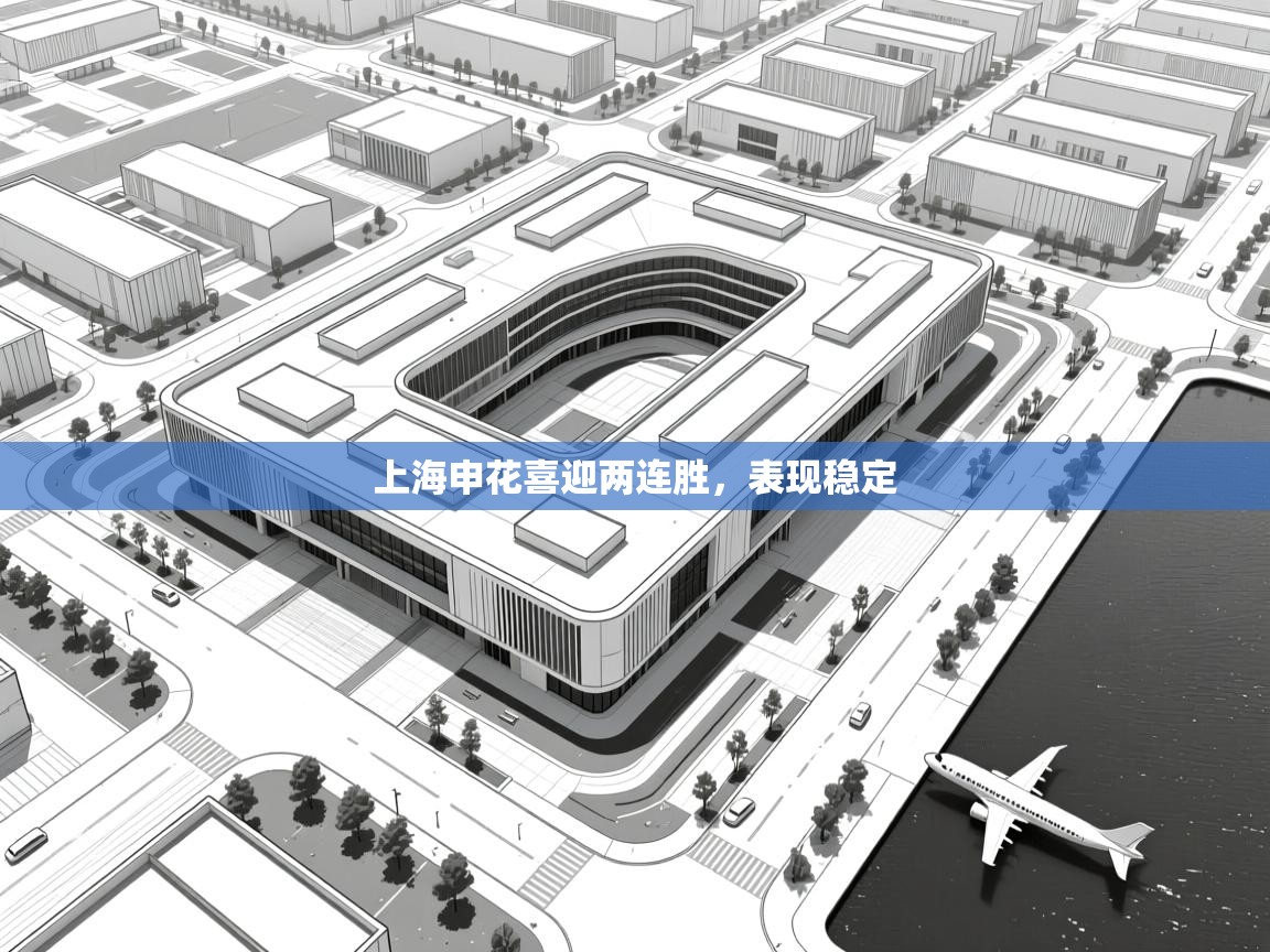 上海申花喜迎两连胜，表现稳定  第1张