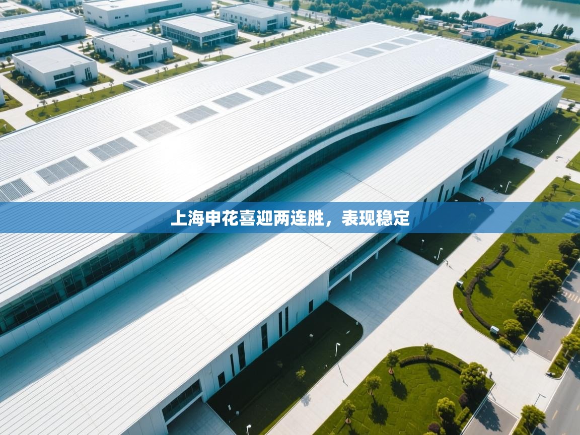 上海申花喜迎两连胜，表现稳定  第2张