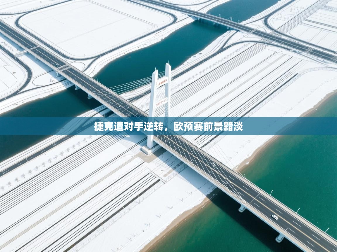 捷克遭对手逆转，欧预赛前景黯淡  第2张