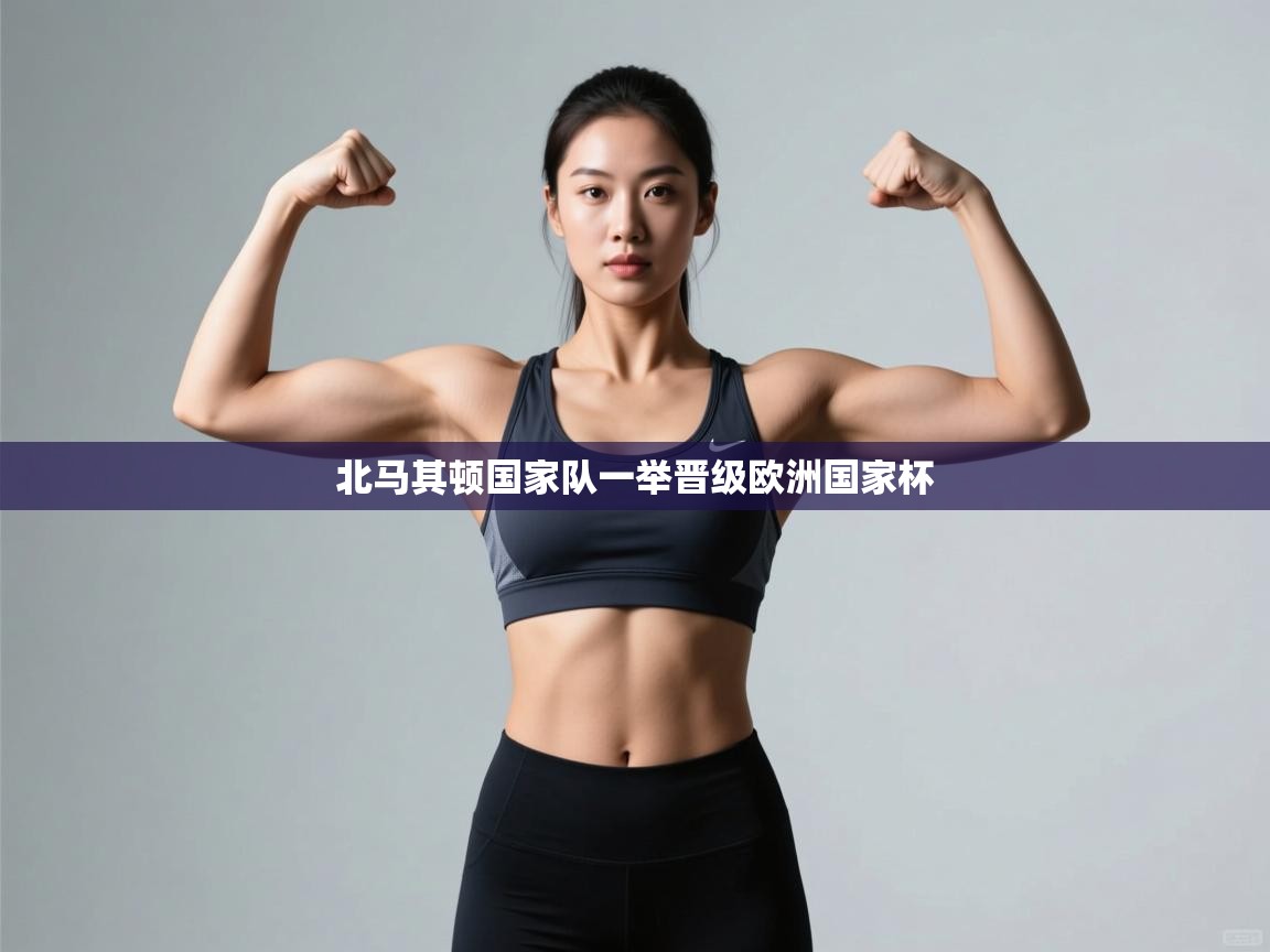 北马其顿国家队一举晋级欧洲国家杯 第1张