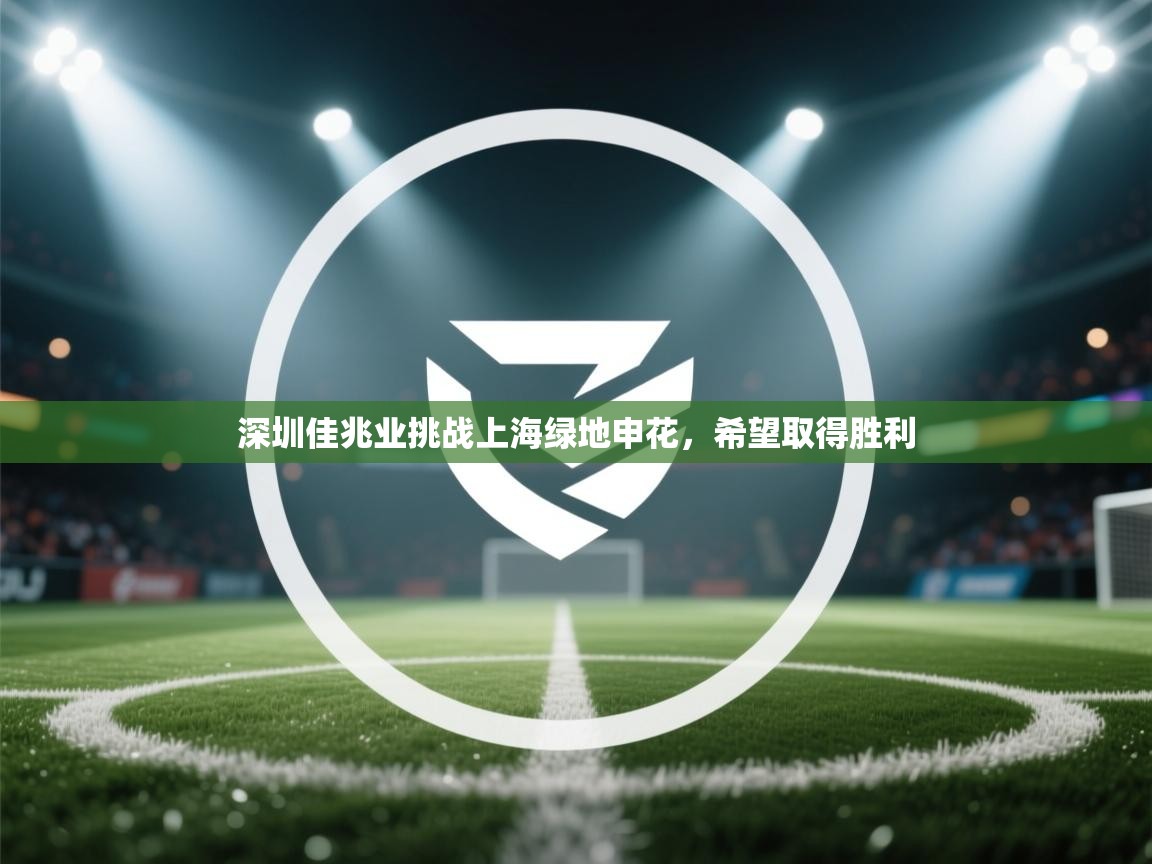 深圳佳兆业挑战上海绿地申花,希望取得胜利 第2张